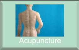 Acupuncture Button