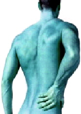 Back Pain